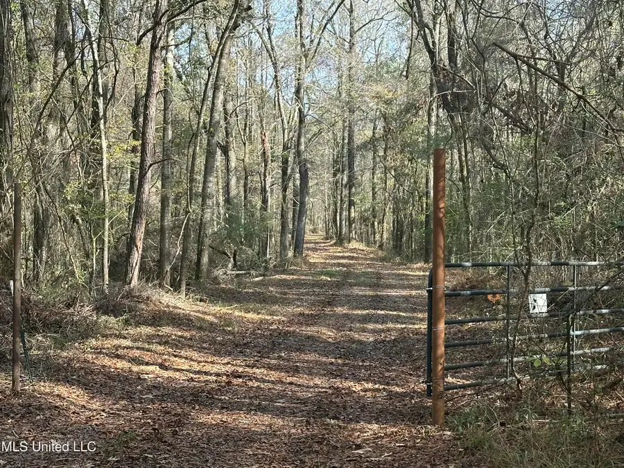 Lot 1 Whiddon Road, Canton, MS 39046 - #2