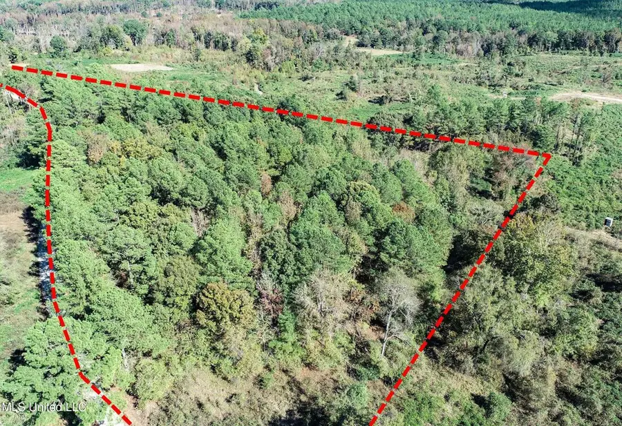 645 County Road 239, Oakland, MS 38948 - #3