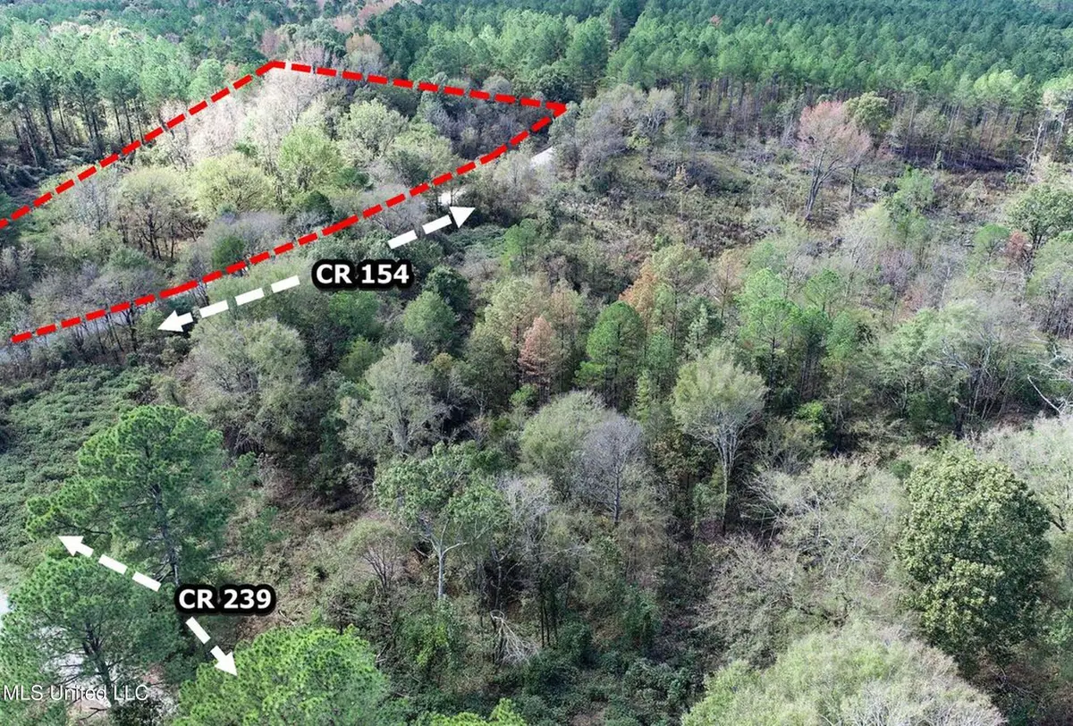 Tbd County Road 154, Tillatoba, MS 38961 - #1