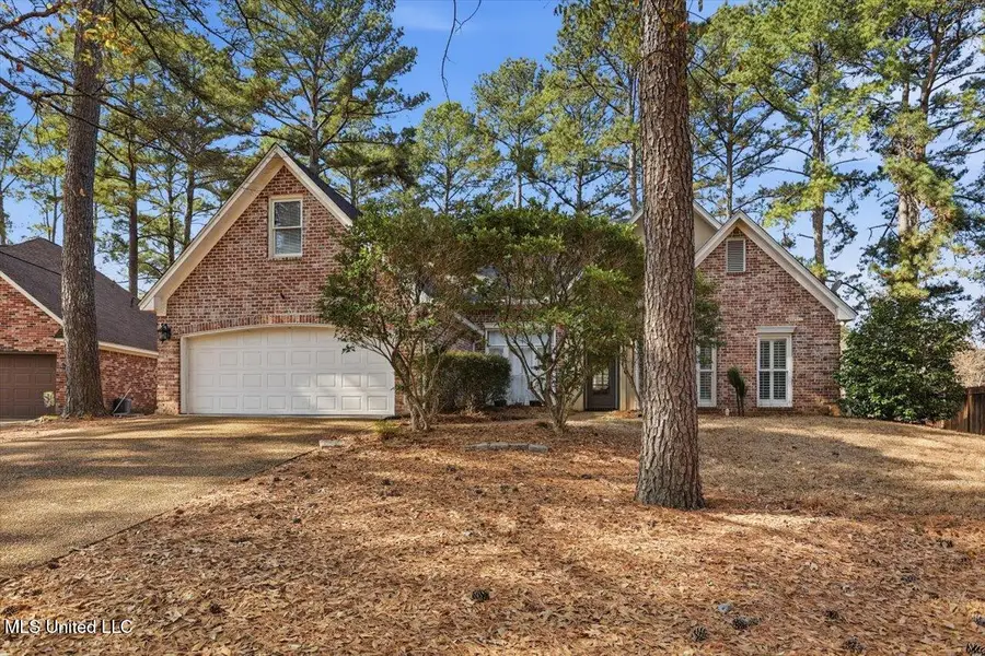 118 Pine Ridge Circle, Brandon, MS 39047 - #3