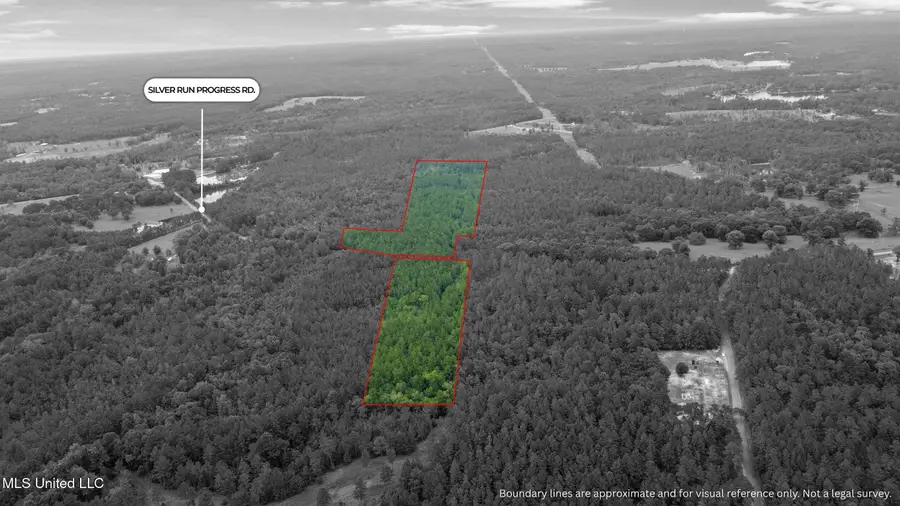 Silver Run-progress Road, Perkinston, MS 39573 - #2