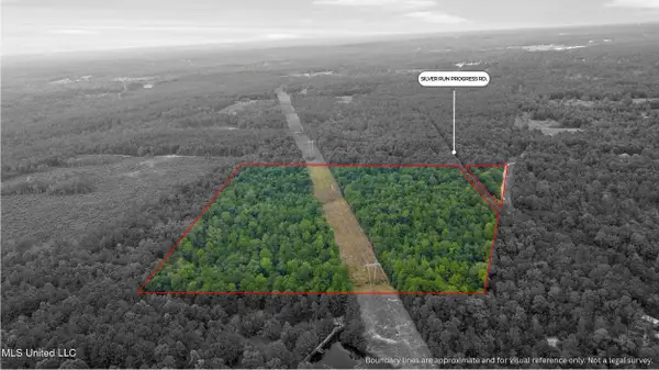 Silver Run-progress Road, Perkinston, MS 39573