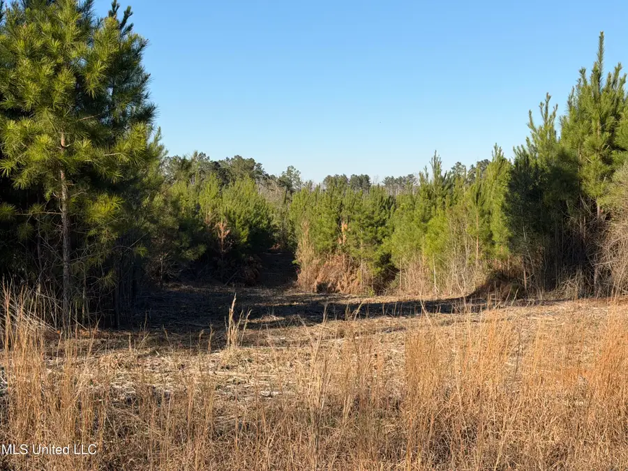 Delancey Road, Braxton, MS 39044 - #3