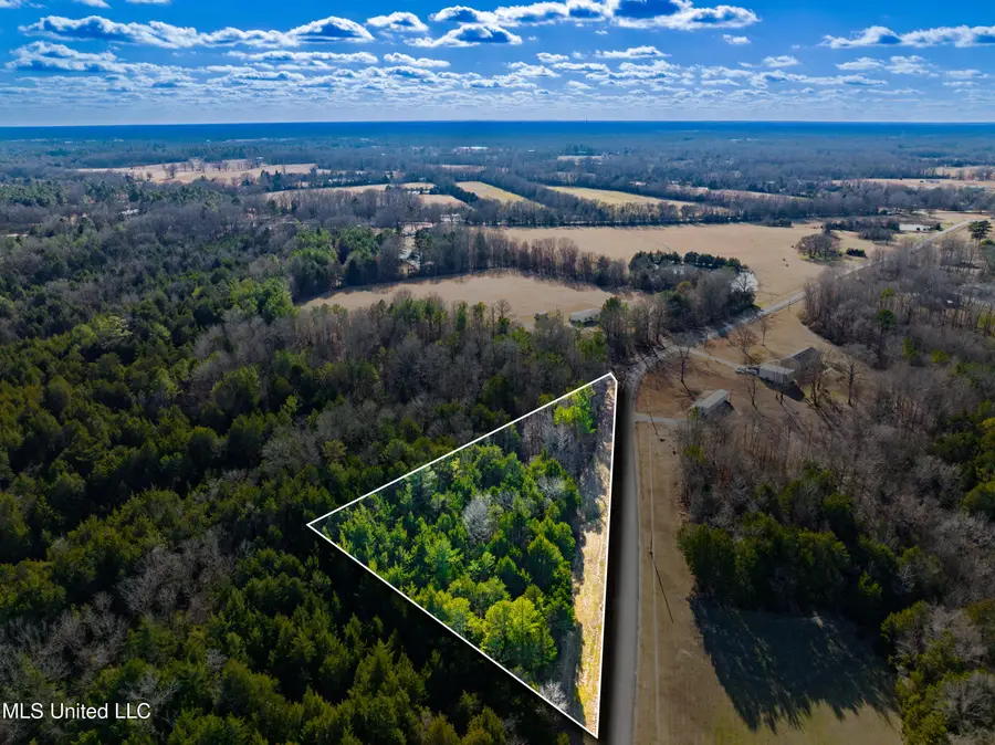 Sawyer Road, Nettleton, MS 38858 - #2