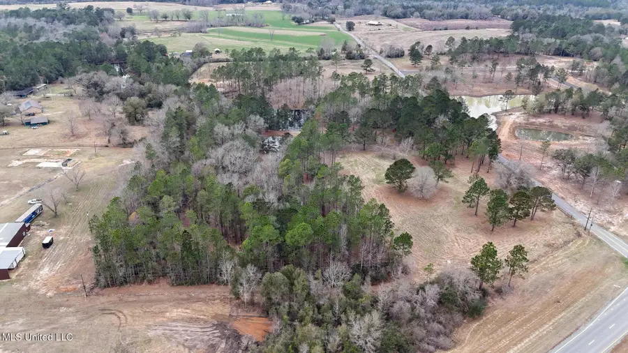 20+/-Ac Summerour Road, Lucedale, MS 39452 - #2
