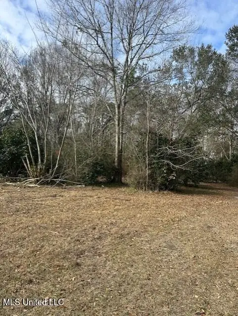 Ms 53 Lot 1, Gulfport, MS 39503 - #1