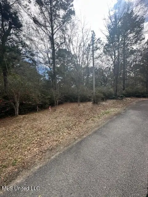 Ms 53 Lot 7, Gulfport, MS 39503 - #1