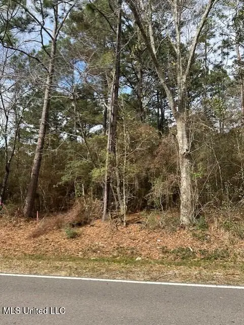 Ms 53 Lot 13, Gulfport, MS 39503