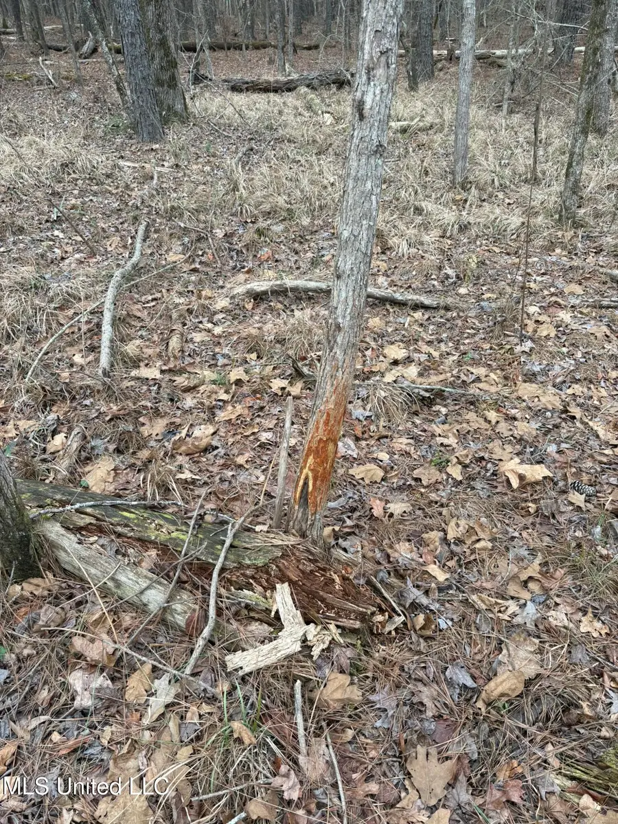 County Road 2211, Kosciusko, MS 39090 - #2