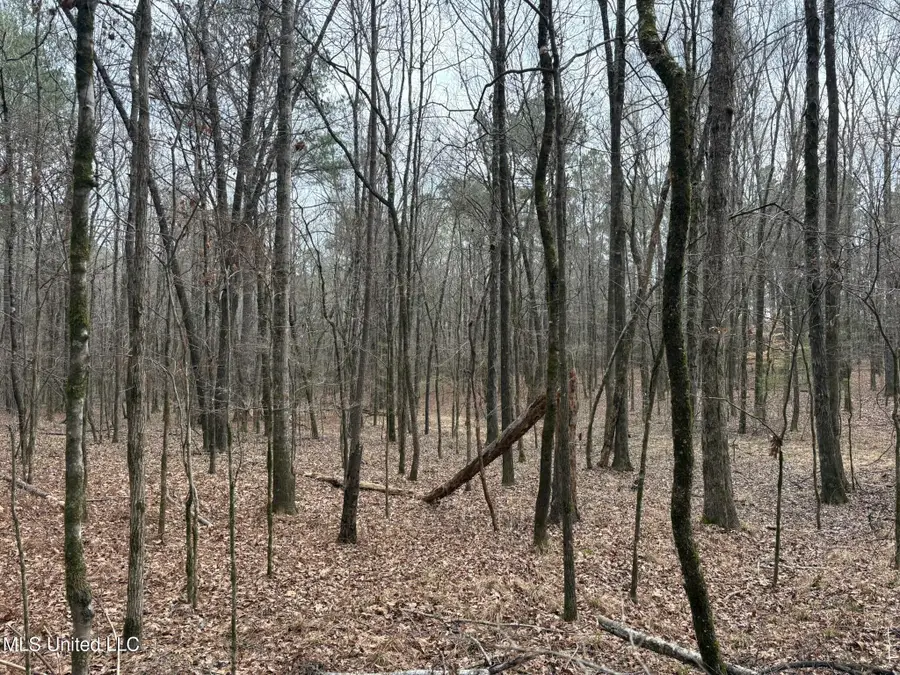 County Road 2211, Kosciusko, MS 39090 - #3