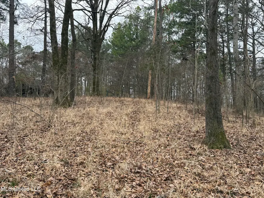 62 E Green T Lake Road, Hernando, MS 38632 - #2