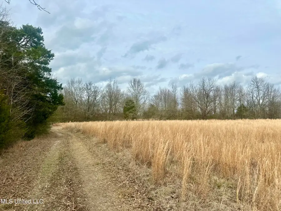 6525 Ebenezer-pickens Road, Pickens, MS 39146 - #3