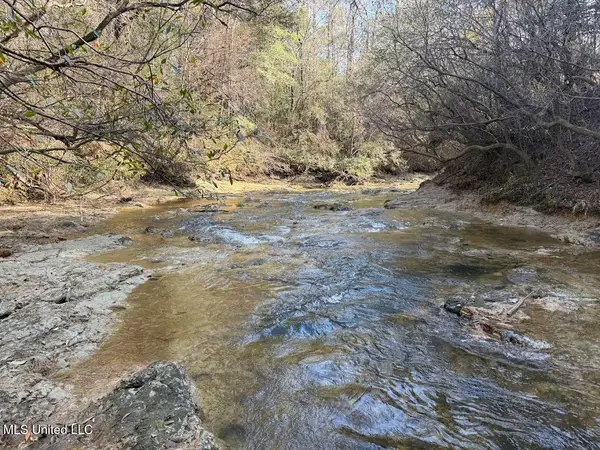 Pete Hickman Road, Saucier, MS 39574