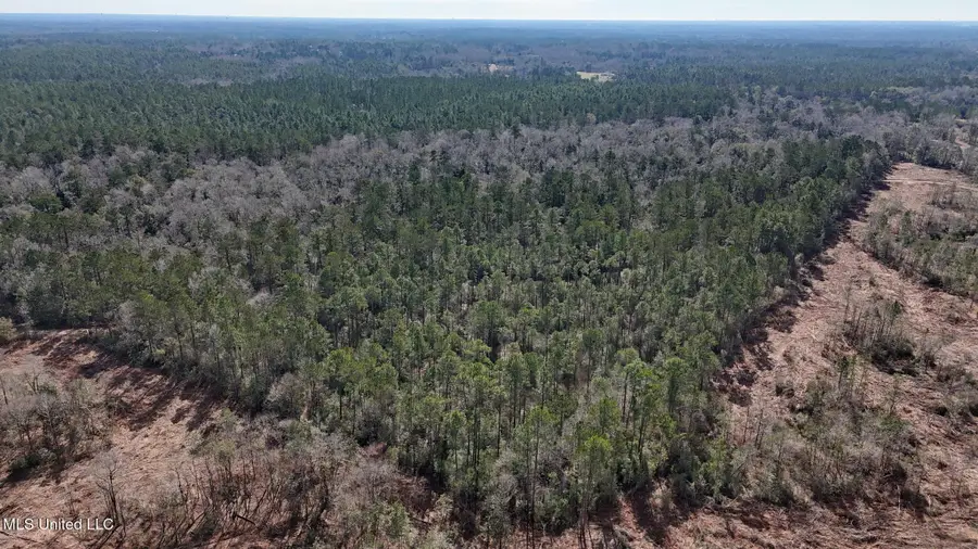 Pete Hickman Road, Saucier, MS 39574 - #3