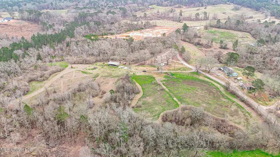 Stuart Road, Morton, MS 39117 - #2