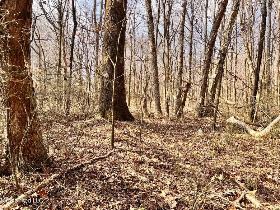 0 Moore Road, Red Banks, MS 38661 - #3