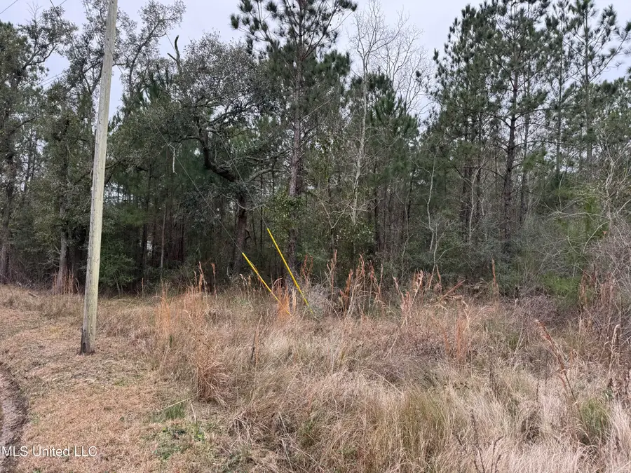 0 Cooper St/ River Dr, Waveland, MS 39576 - #2