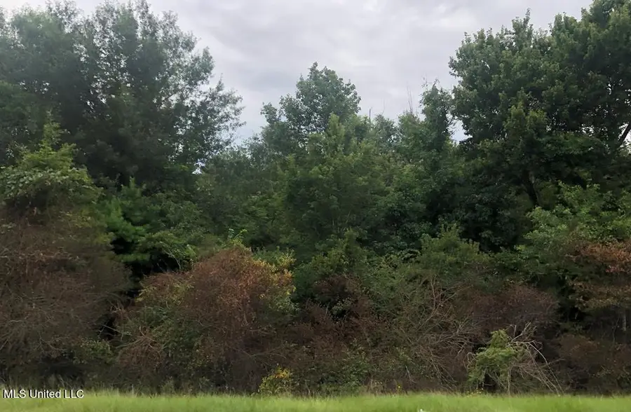 Nhn Cedar Grove Avenue, Picayune, MS 39466 - #3