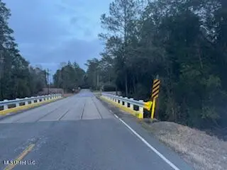Paige Bayou Road, Vancleave, MS 39565 - #3