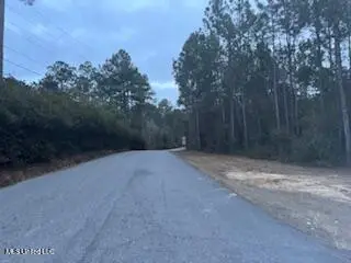 Rouses Marina Road, Vancleave, MS 39565 - #3