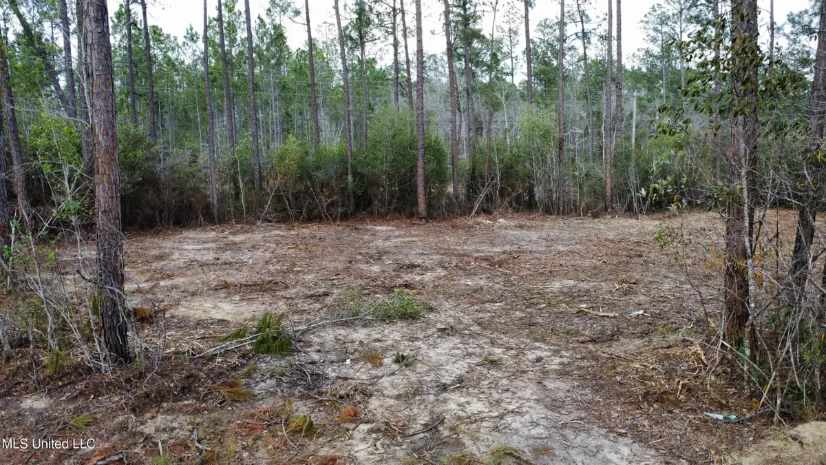 Parcel 11 Rocky Hill Dedeaux Road, Kiln, MS 39556 - #1