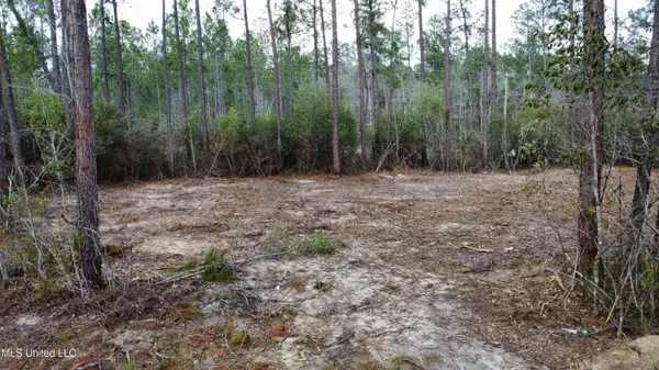 Parcel 11 Rocky Hill Dedeaux Road, Kiln, MS 39556