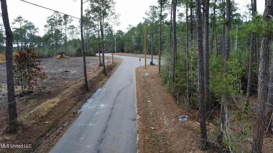 Parcel 11 Rocky Hill Dedeaux Road, Kiln, MS 39556 - #2