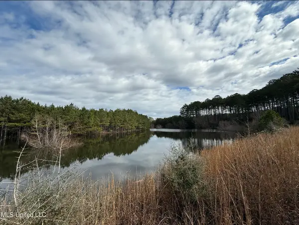 Dyess Road, Carson, MS 39427