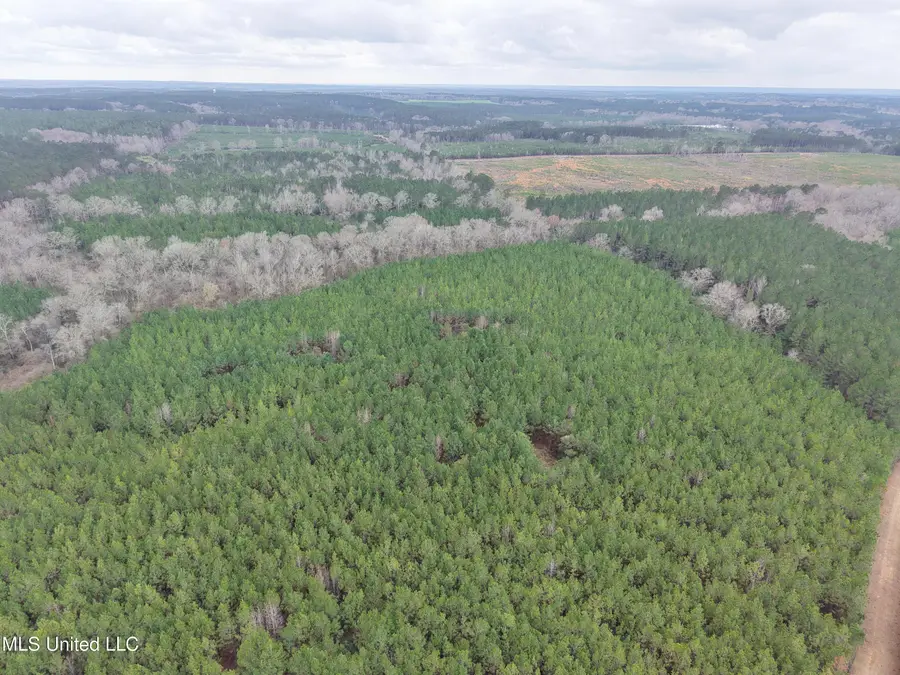 Dyess Road, Carson, MS 39427 - #2