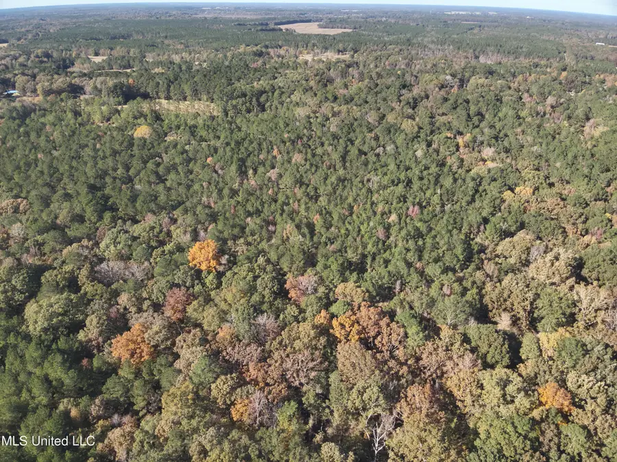 0 Barefoot Springs Road, Pelahatchie, MS 39145 - #3