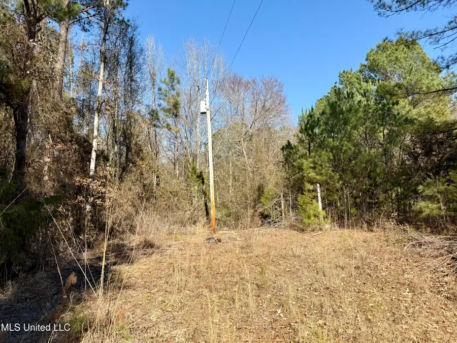 Attala Rd 4136, Sallis, MS 39160 - #3