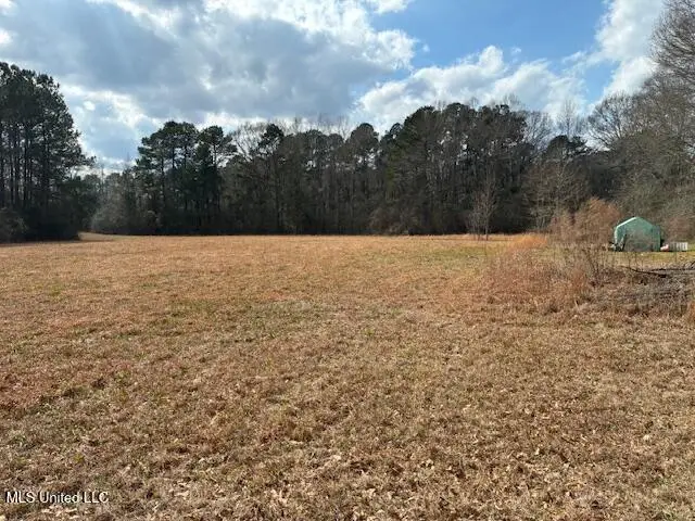 00 Centrville Rd. Road, Magnolia, MS 39652 - #2