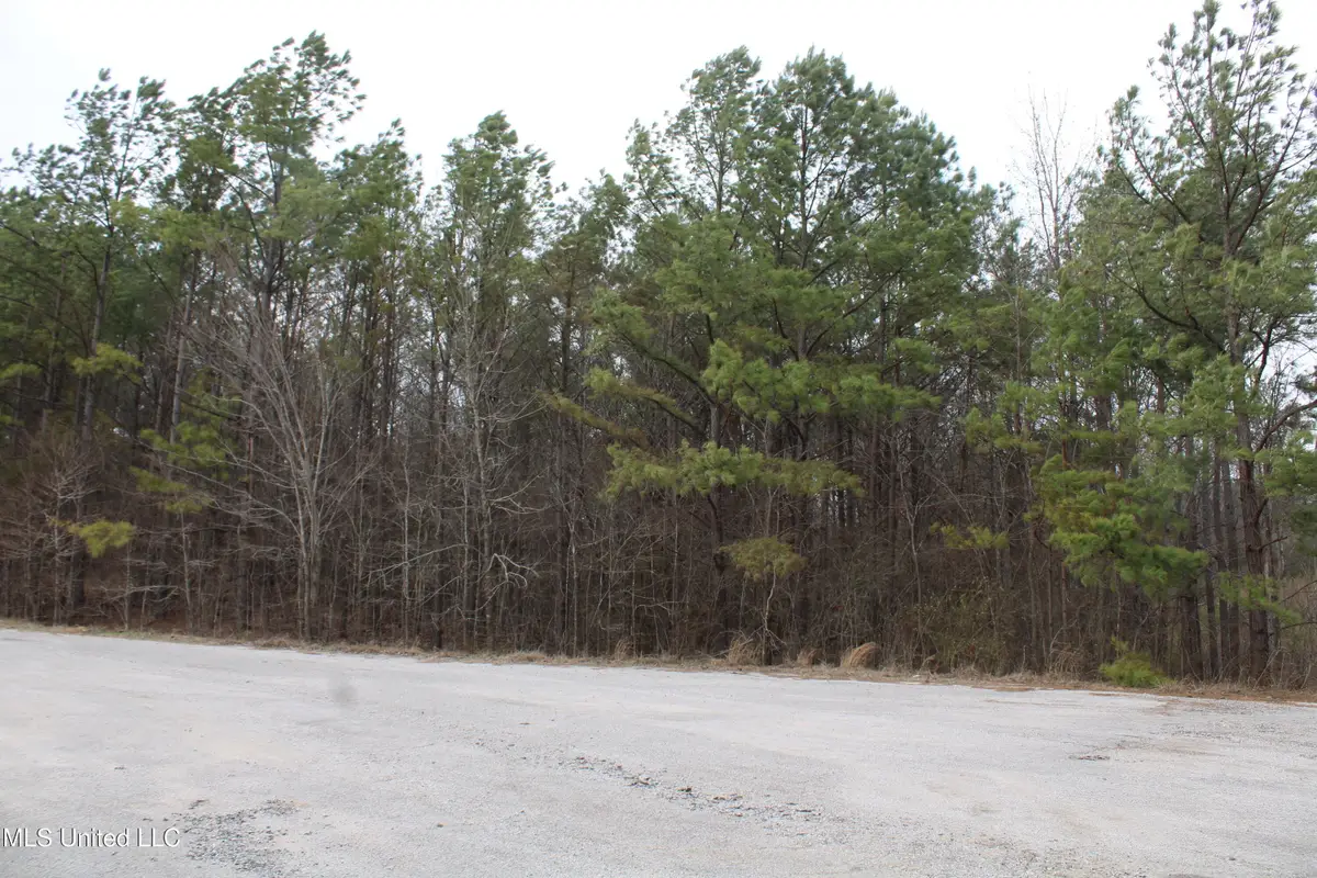 30 American Cove, Byhalia, MS 38611 - #1