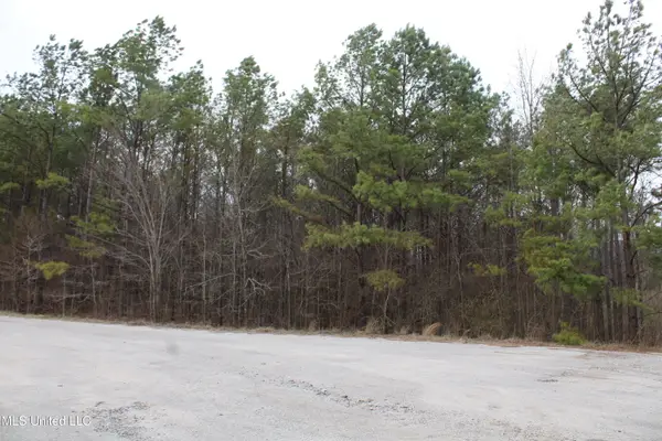 30 American Cove, Byhalia, MS 38611