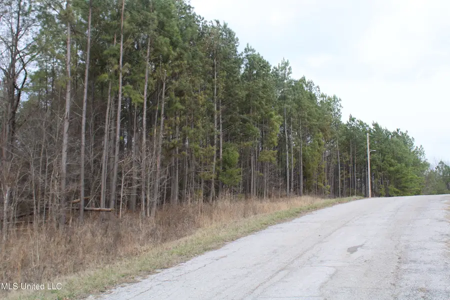 31 American Cove, Byhalia, MS 38611 - #2