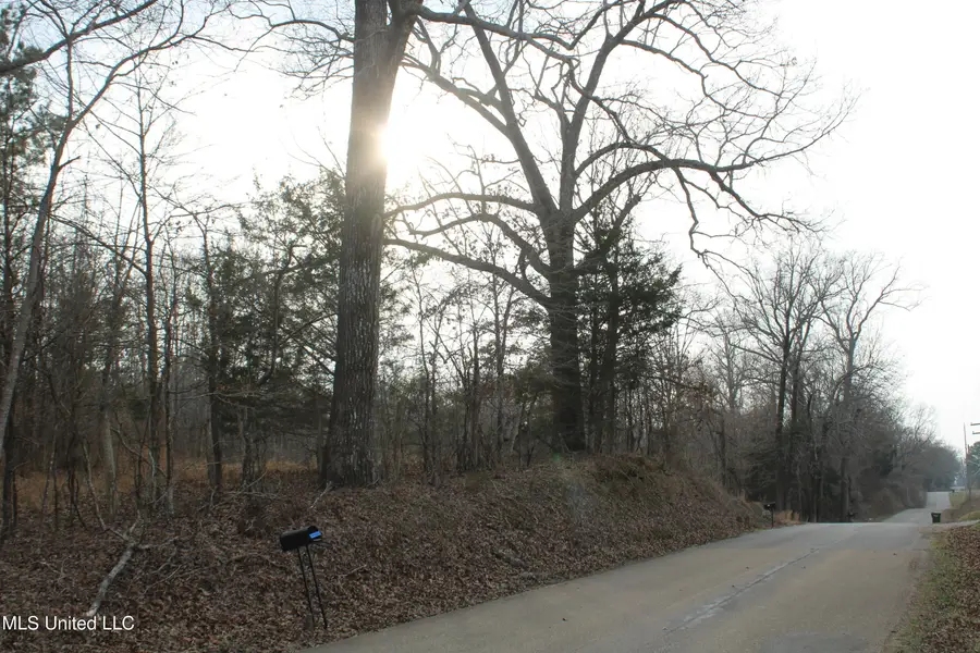 797 Gardner Road, Holly Springs, MS 38635 - #2