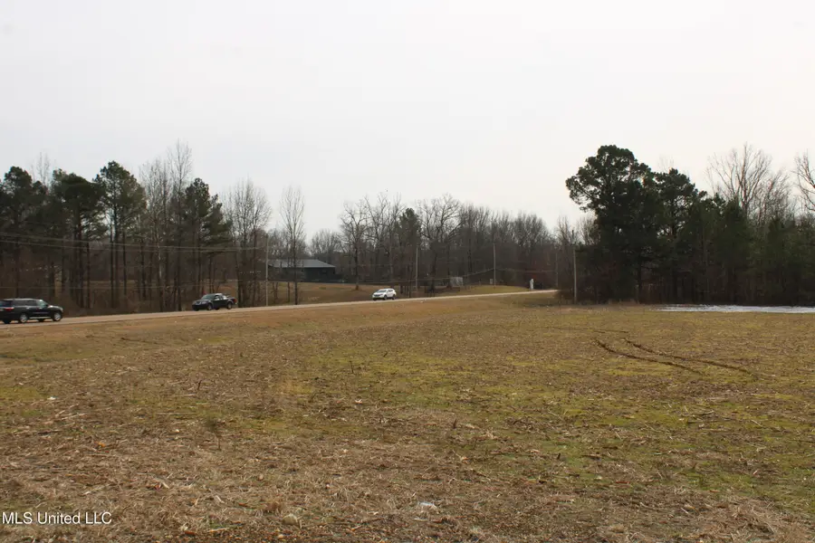 3900 Highway 301, Lake Cormorant, MS 38641 - #2