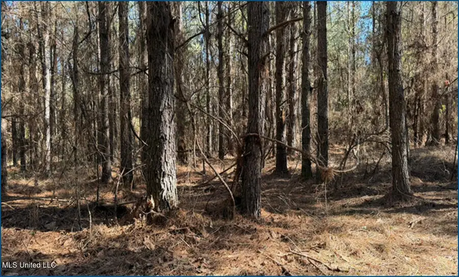 County Road 2257, Ethel, MS 39067 - #3