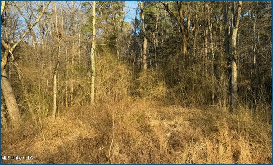 Will Brown, Conehatta, MS 39057 - #3