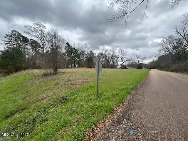W Freedom Drive, Liberty, MS 39645 - #2