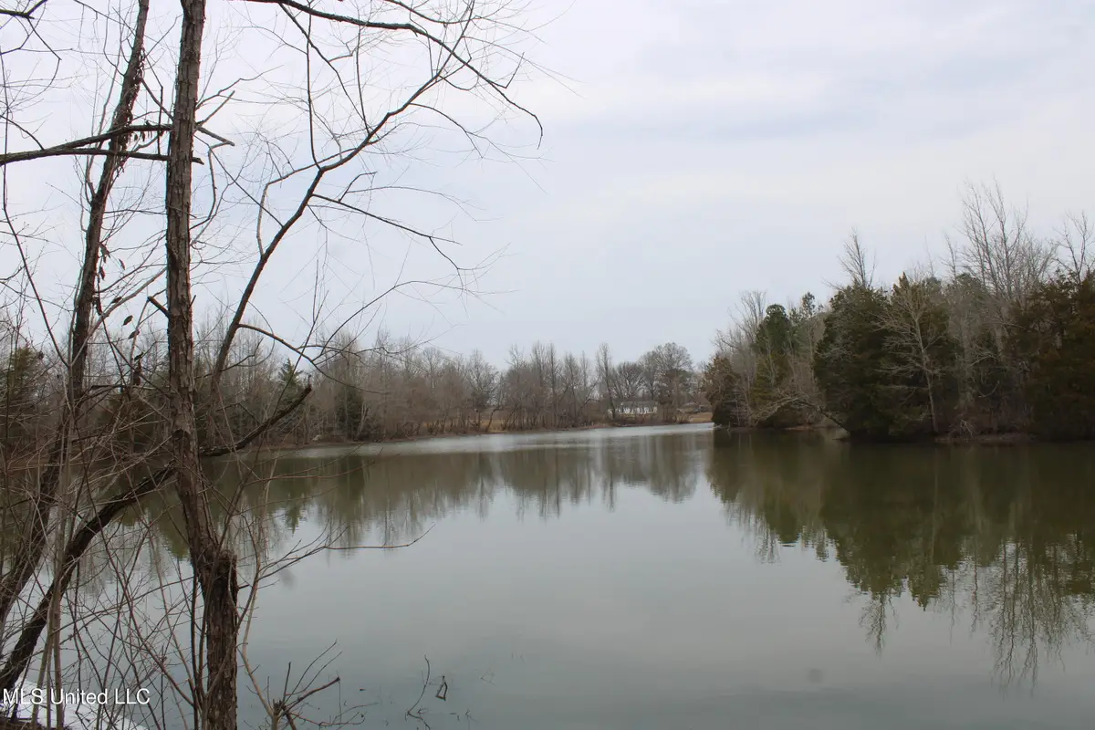 4325 Highway 301, Lake Cormorant, MS 38641 - #1