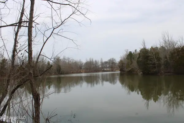 4325 Highway 301, Lake Cormorant, MS 38641