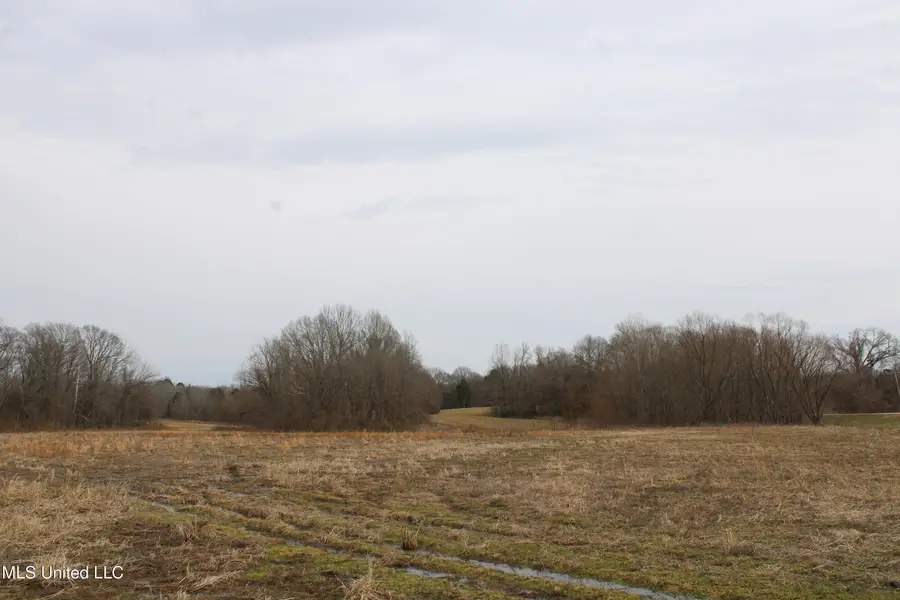 4325 Highway 301, Lake Cormorant, MS 38641 - #2