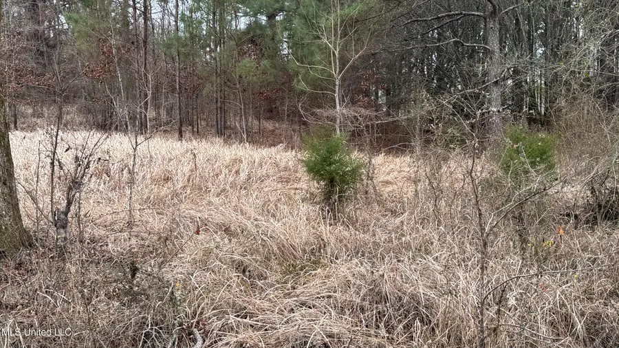 01 Magnolia Heights, Forest, MS 39074 - #3