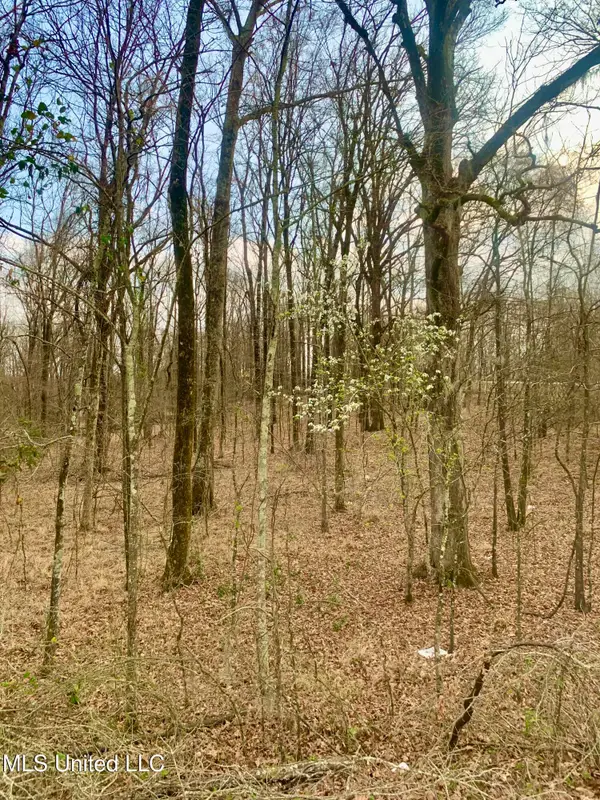 0 Warwick Road, Clinton, MS 39056