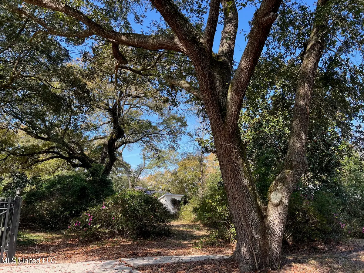 0 Camelia, Pass Christian, MS 39571 - #1