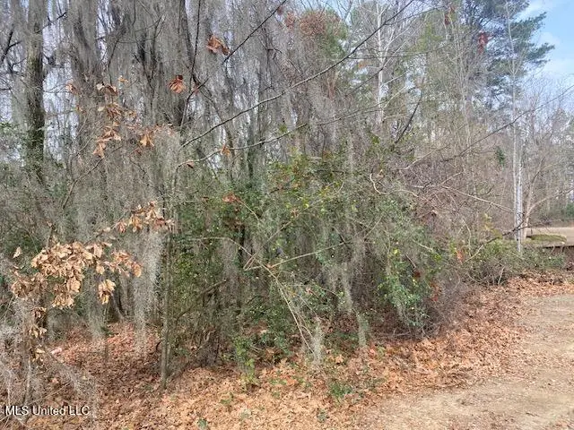 Dunlieth W Dunleith Way, Clinton, MS 39056 - #1