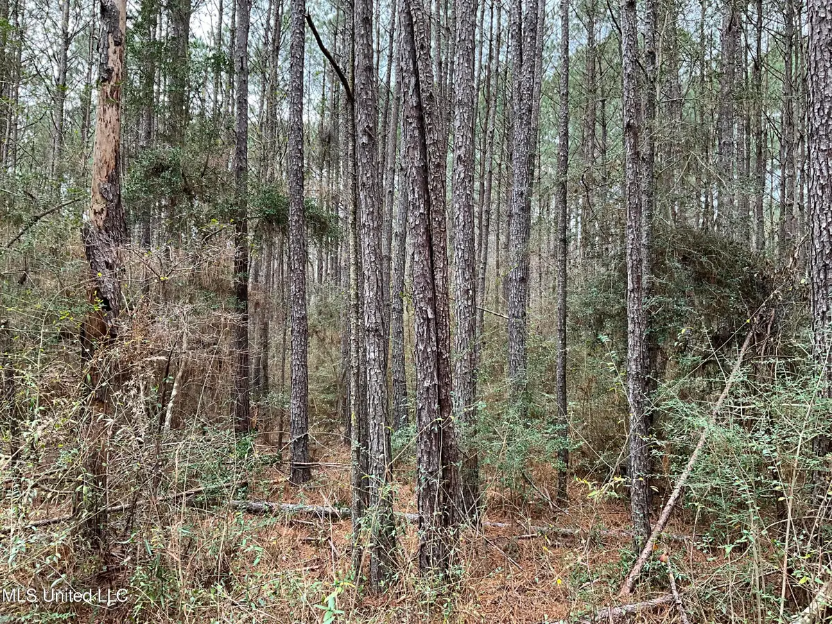 Berwick Cassels Road, Gloster, MS 39638 - #1