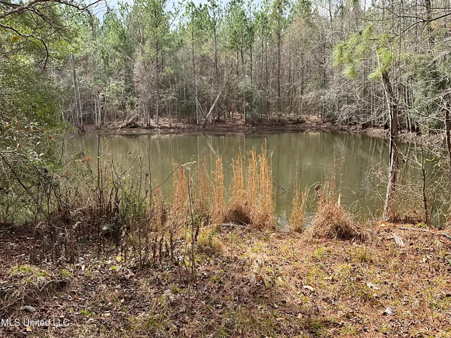 Berwick Cassels Road, Gloster, MS 39638 - #2