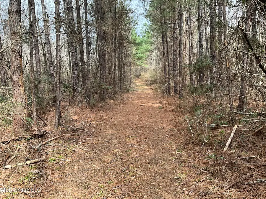 Berwick Cassels Road, Gloster, MS 39638 - #3